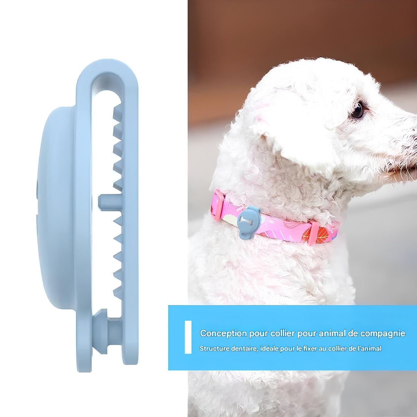 Poochly PetTrack™ – מעקב GPS חכם לחיות מחמד
