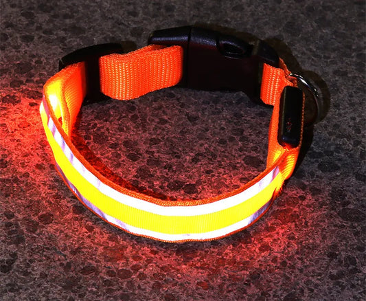 Poochly Glow™ בכתום זוהר – קולר לד לכלב בעיצוב ייחודי ובטיחות מירבית