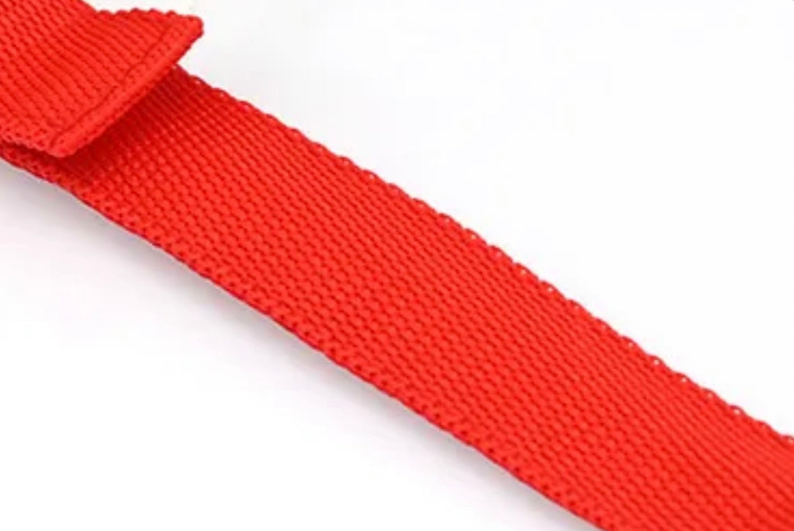 Poochly Glow™ בכתום זוהר – קולר לד לכלב בעיצוב ייחודי ובטיחות מירבית