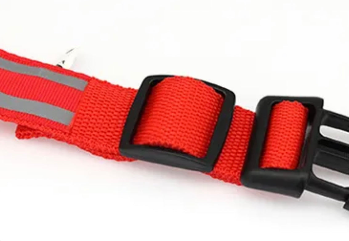 Poochly Glow™ בכתום זוהר – קולר לד לכלב בעיצוב ייחודי ובטיחות מירבית