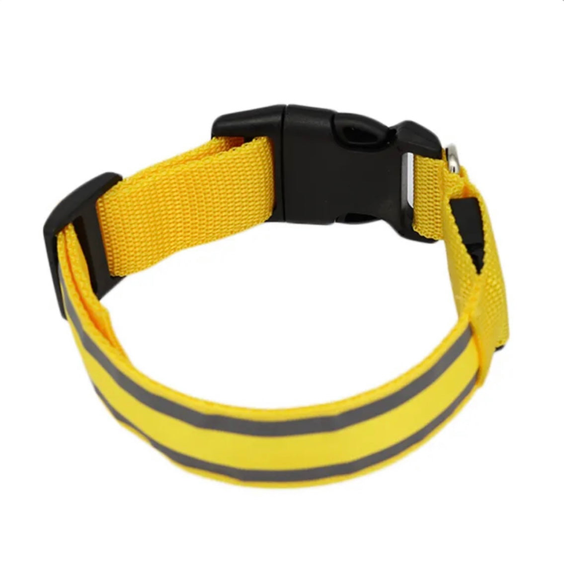 Poochly Glow™ בצהוב – קולר לד לכלב