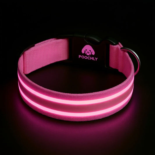 Poochly Glow™ Rose – Collier LED pour chien