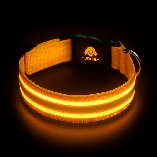 Poochly Glow™ Jaune – Collier LED pour chien