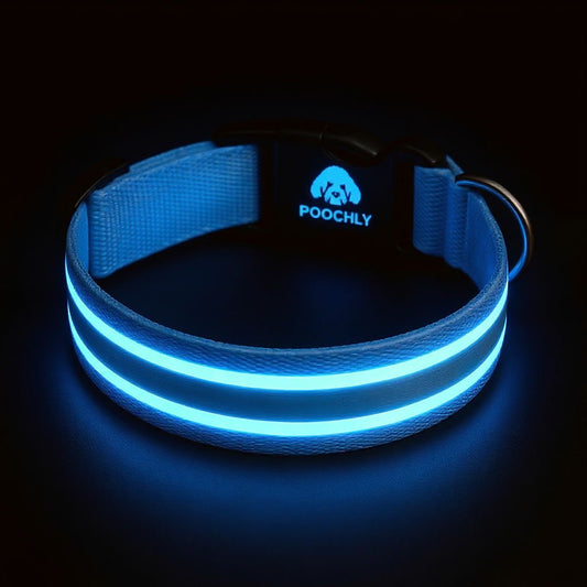 Poochly Glow™ Bleu – Collier LED pour chien