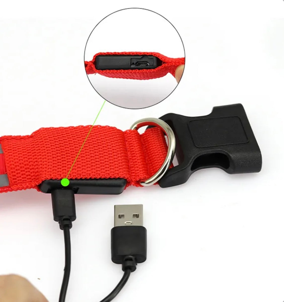 Poochly Glow™ בכתום זוהר – קולר לד לכלב בעיצוב ייחודי ובטיחות מירבית