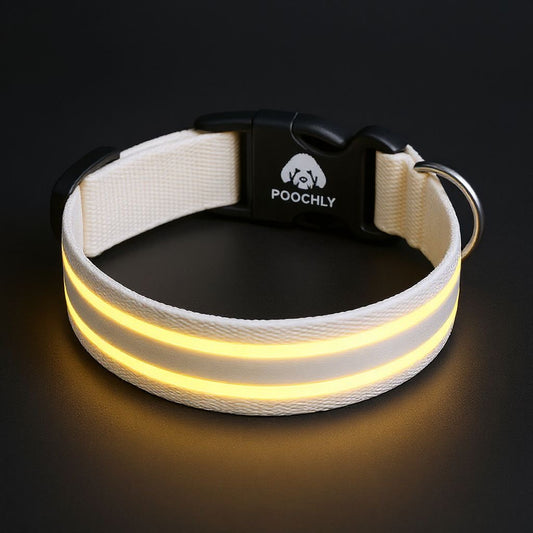 Poochly Glow™ Blanc – Collier LED pour chien