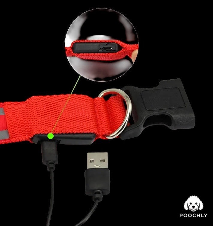 Poochly Glow™ Vert – Collier LED pour chien