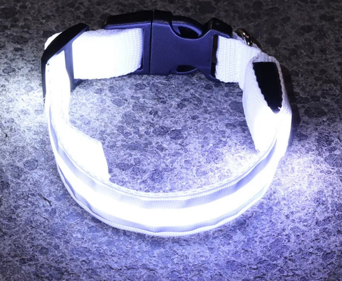 Poochly Glow™ בלבן – קולר לד לכלב