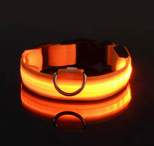 Poochly Glow™ בכתום זוהר – קולר לד לכלב בעיצוב ייחודי ובטיחות מירבית