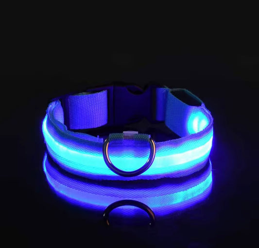 Poochly Glow™ בכחול – קולר לד לכלב
