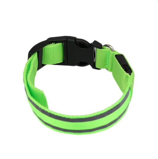 Poochly Glow™ בירוק – קולר לד לכלב
