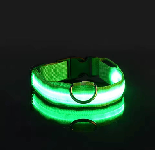 Poochly Glow™ בירוק – קולר לד לכלב