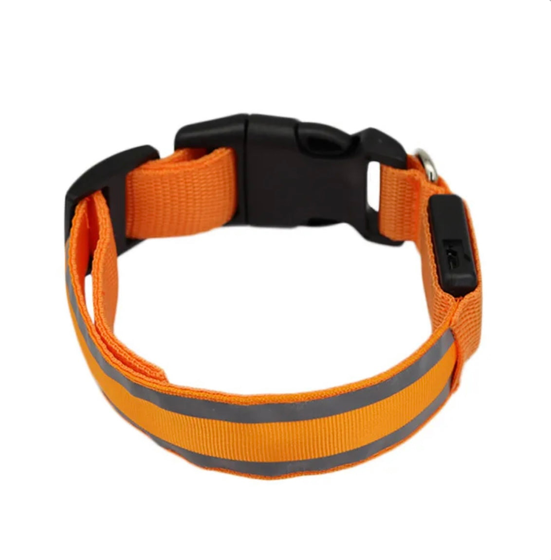 Poochly Glow™ בכתום זוהר – קולר לד לכלב בעיצוב ייחודי ובטיחות מירבית