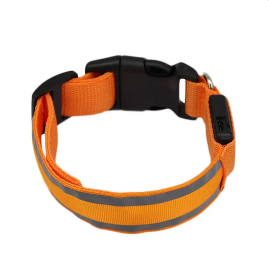 Poochly Glow™ בכתום זוהר – קולר לד לכלב בעיצוב ייחודי ובטיחות מירבית