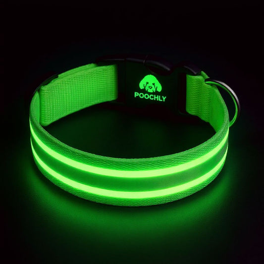 Poochly Glow™ Vert – Collier LED pour chien
