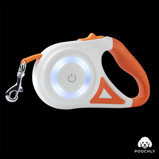 פוצ’לי FlexiLED™ – רצועה מתכווננת עם LED