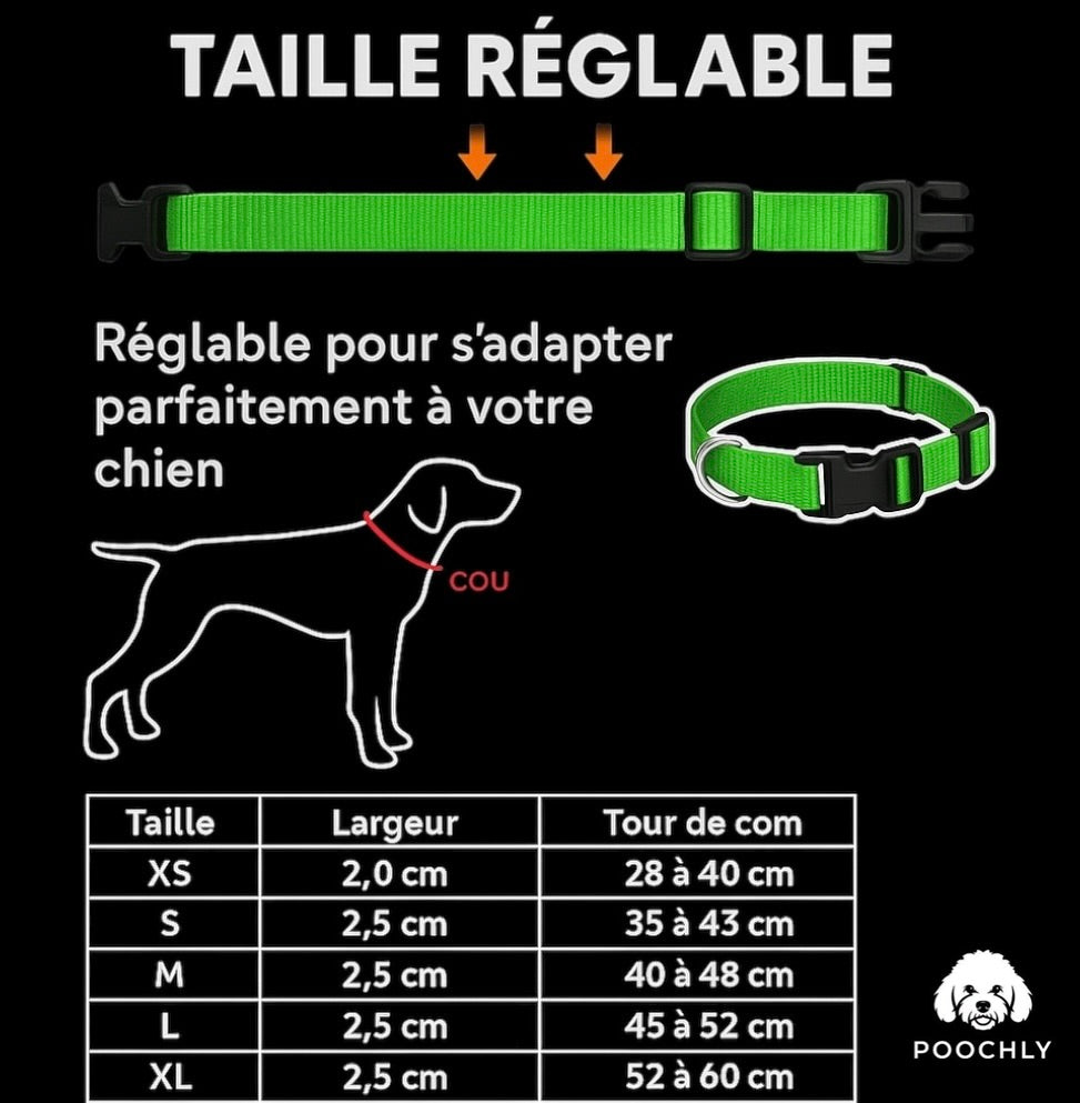 Poochly Glow™ Vert – Collier LED pour chien