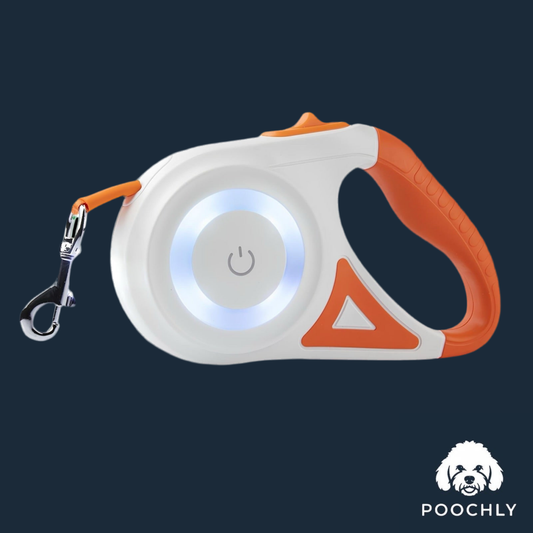 Poochly FlexiLED™ – רצועה מתכווננת עם תאורת LED